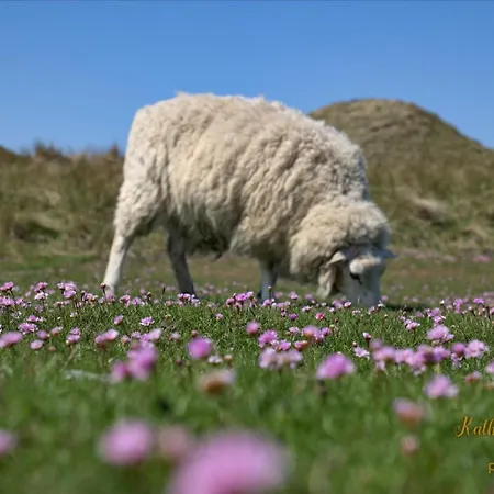 아파트 Brandenburgerstr 11 Duehne16 Mit Kleinem Meerblick 베스터란트