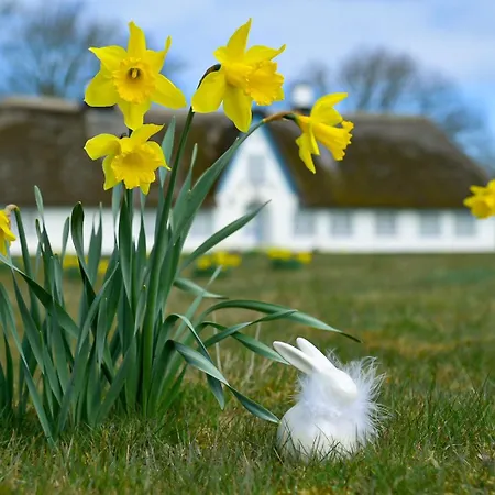 아파트 Brandenburgerstr 11 Duehne16 Mit Kleinem Meerblick *