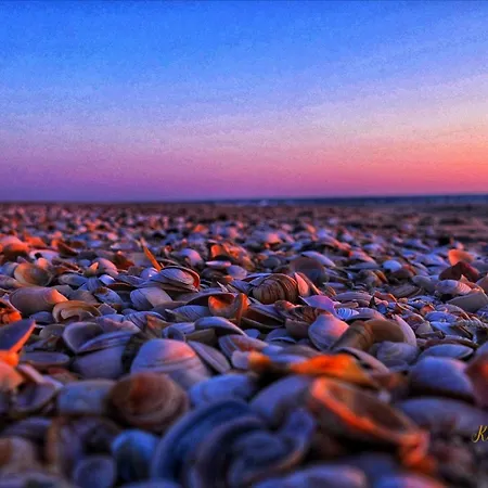 Brandenburgerstr 11 Duehne16 Mit Kleinem Meerblick * 베스터란트