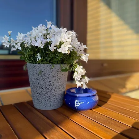 Brandenburgerstr 11 Duehne16 Mit Kleinem Meerblick 아파트 *